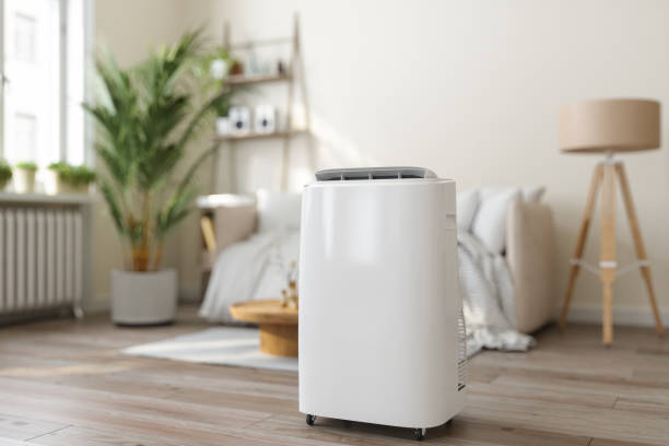 Best Ductless HVAC Repair  in Little Flock, AR